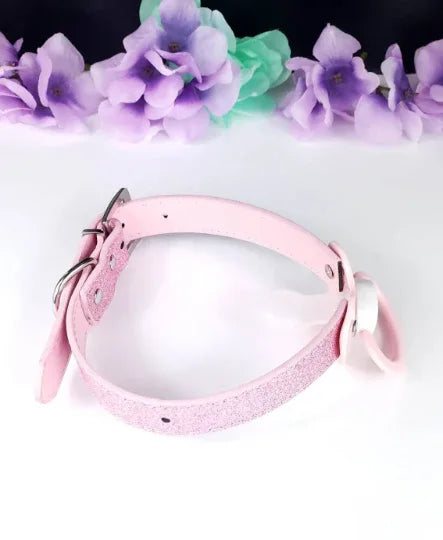 Blue Paw Glitter Pink Pacifier Gag - Puppy's Aesthetics