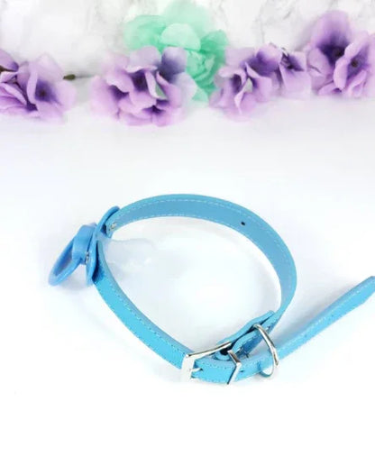Blue Little Bed Wetter Pacifier Gag - Puppy's Aesthetics