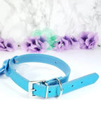 Blue Little Bed Wetter Pacifier Gag