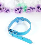 Blue Little Bed Wetter Pacifier Gag