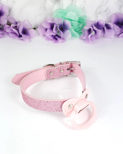 Pink Glitter Princess Pacifier Gag