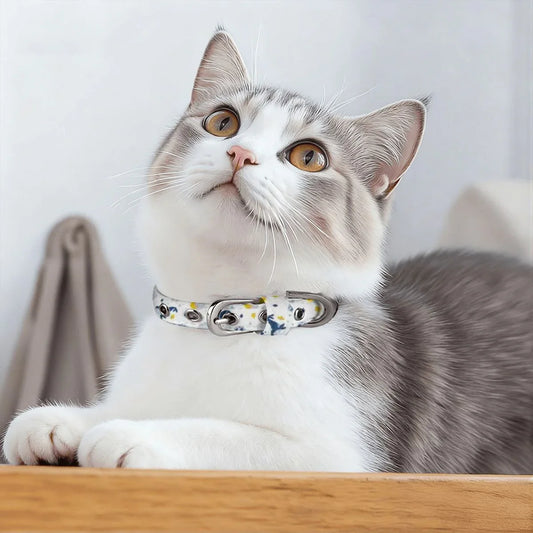 Sleepy Whale Dreams Cloth Pet Collar - Puppy's Aesthetics