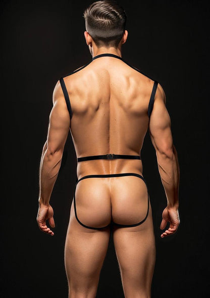 Envy 3pc Wetlook Chest Harness-M/L