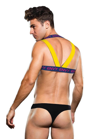 Envy Logo Harness