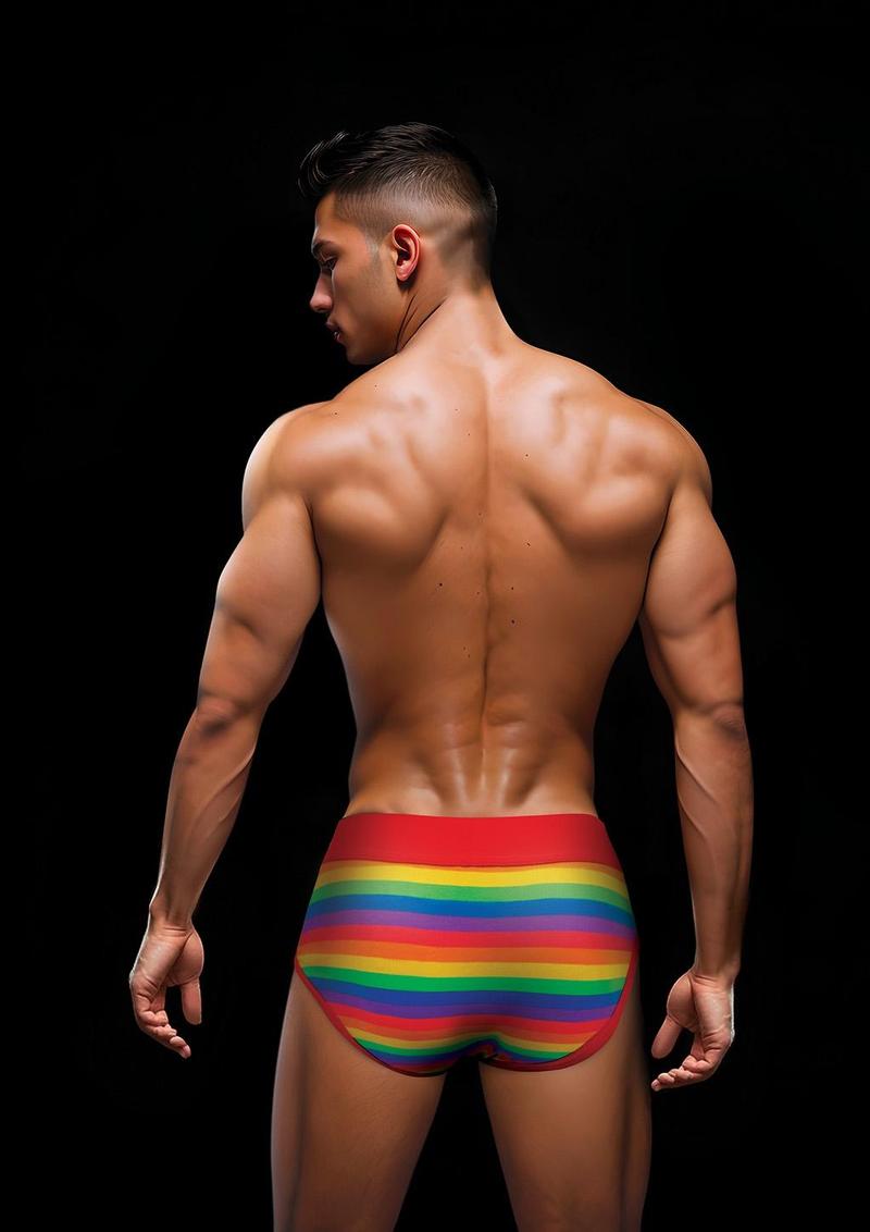 Envy Rainbow Pride Brief-Red (L/XL)