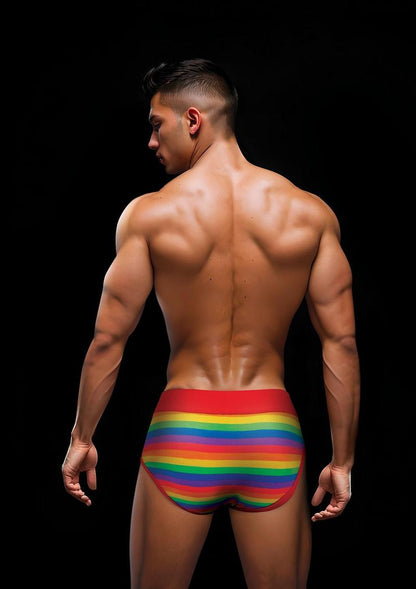 Envy Rainbow Pride Brief-Red (L/XL)