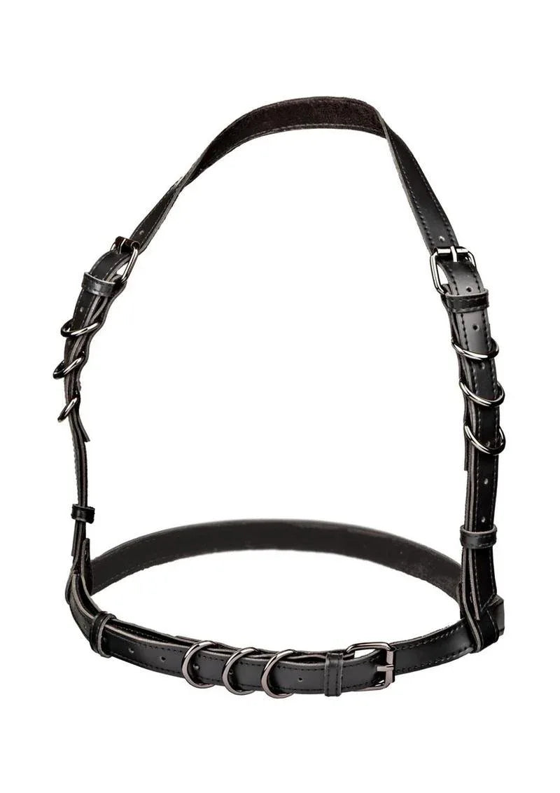 CalExotics Euphoria Plus Size Halter Buckle Harness - Puppy's Aesthetics