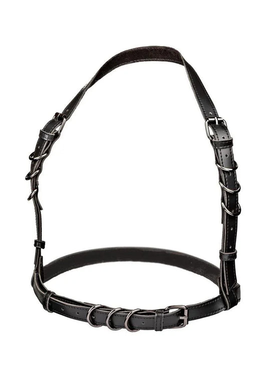 CalExotics Euphoria Plus Size Halter Buckle Harness - Puppy's Aesthetics