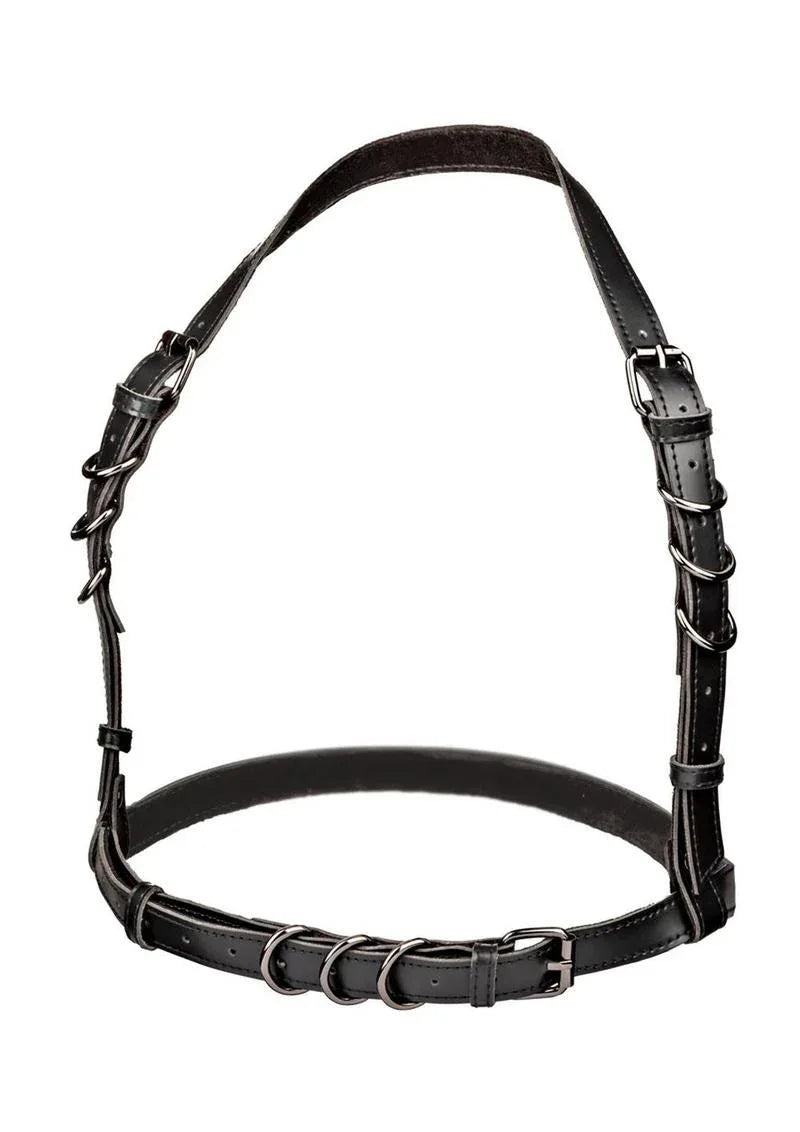 CalExotics Euphoria Plus Size Halter Buckle Harness - Puppy's Aesthetics
