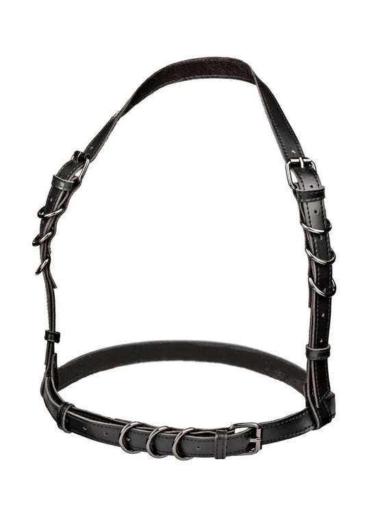 CalExotics Euphoria Plus Size Halter Buckle Harness - Puppy's Aesthetics