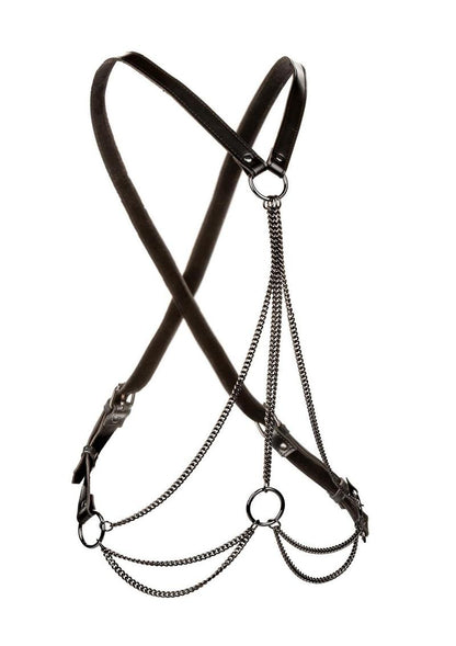 Euphoria Multi-Chain Harness