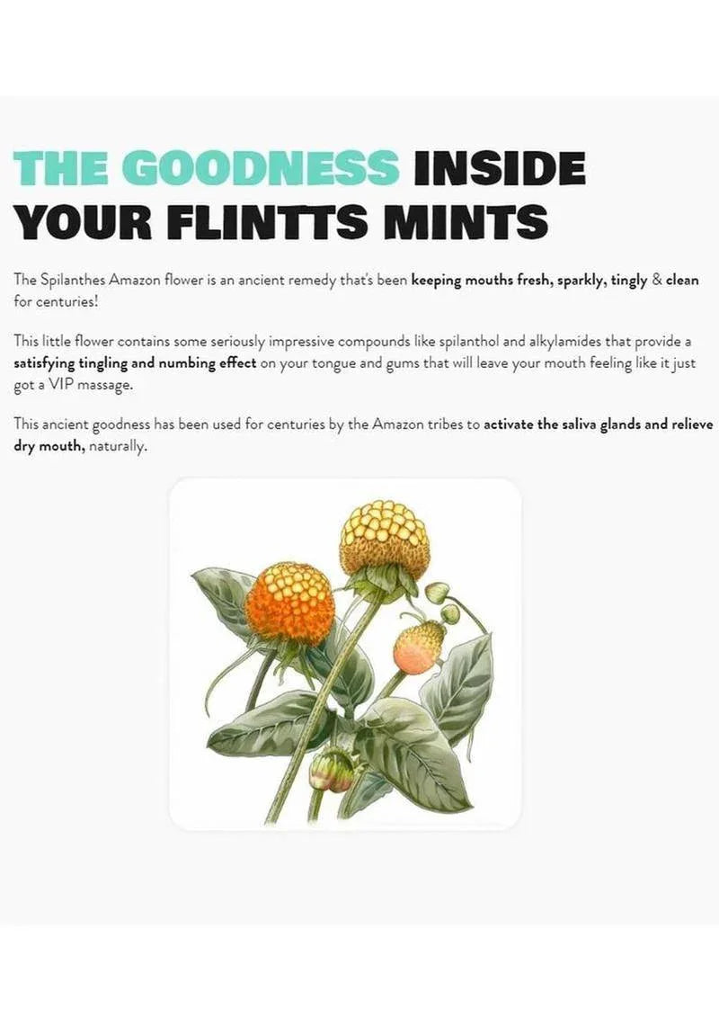 Flint’s Mouth Watering Mints – Lemon - Puppy's Aesthetics