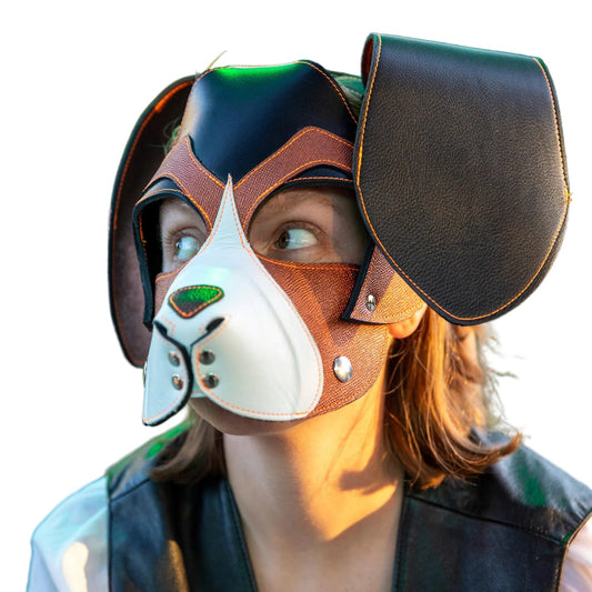Beagle Style Pup Hood