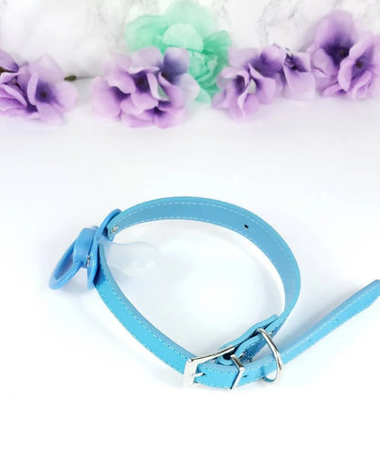 Lil Soaker Blue Pacifier Gag - Puppy's Aesthetics