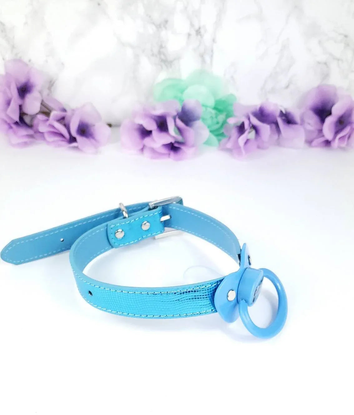 Lil Soaker Blue Pacifier Gag - Puppy's Aesthetics