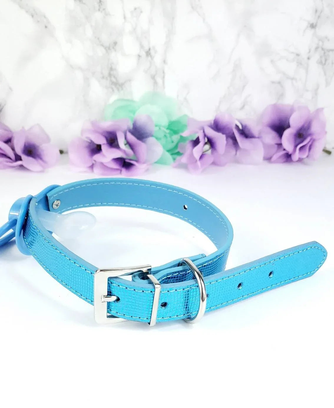 Lil Soaker Blue Pacifier Gag - Puppy's Aesthetics