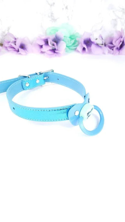 Stuff Me Blue Adult Pacifier Gag - Puppy's Aesthetics
