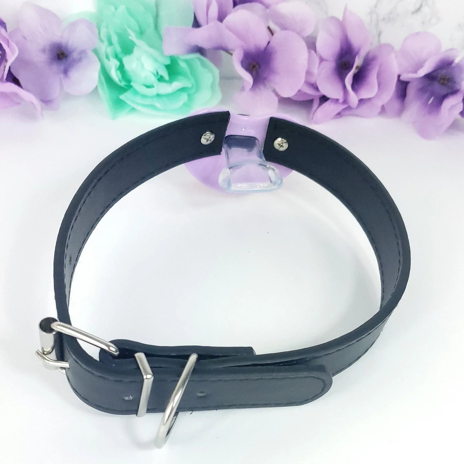 Daddy's Girl Adult Pacifier Gag - Puppy's Aesthetics