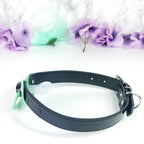 Fuck Me Green Adult Pacifier Gag