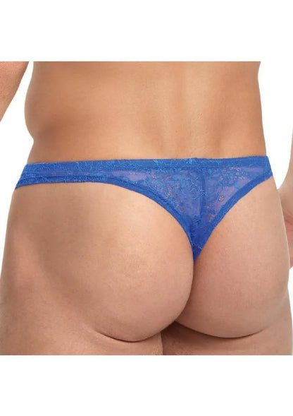 Lace King Medium Thong (Colors) - Puppy's Aesthetics