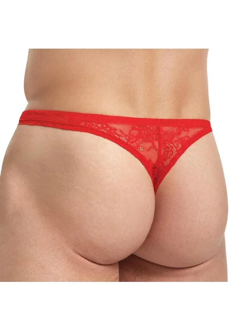 Lace King Medium Thong (Colors) - Puppy's Aesthetics