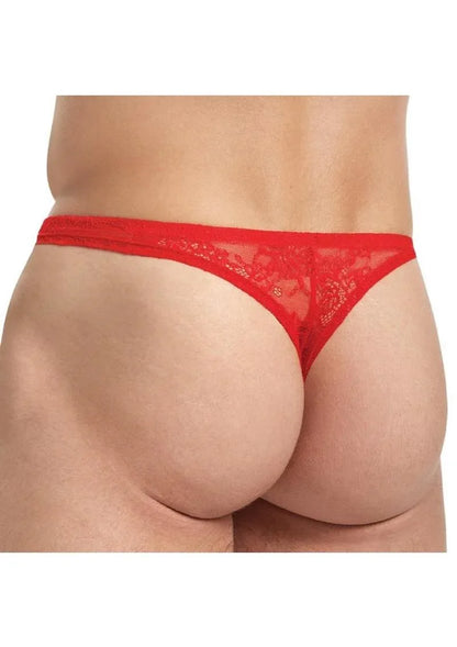 Lace King Medium Thong (Colors) - Puppy's Aesthetics