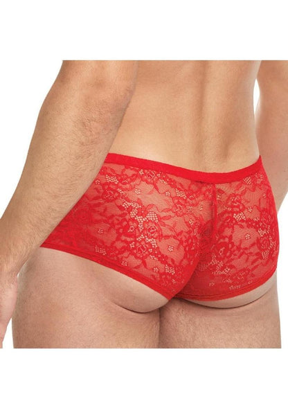 King Low Rise Sheer Breathable Lace Trunks for Men