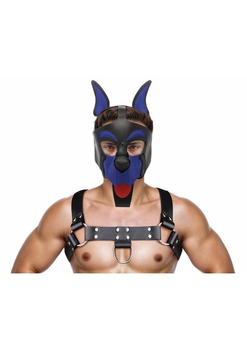 Alpha Dog Pup Hood