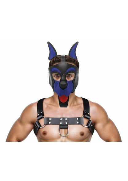Alpha Dog Pup Hood
