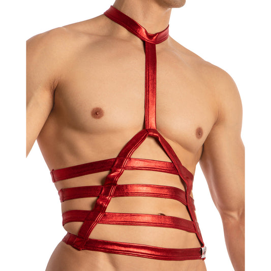 Men's Halter Neck Bodysuit and Harness Accessories
