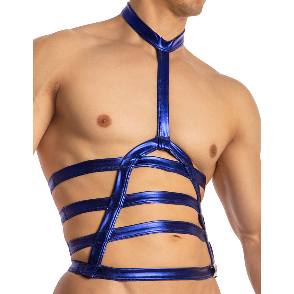 Men's Halter Neck Bodysuit and Harness Accessories