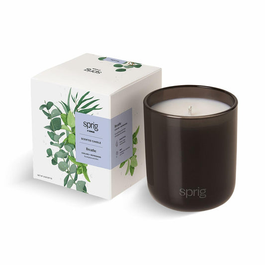 Breathe Aromatherapy Candle with Eucalyptus and Mint -8 oz