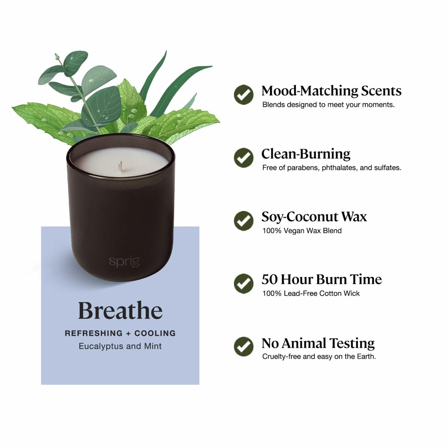 Breathe Aromatherapy Candle with Eucalyptus and Mint -8 oz