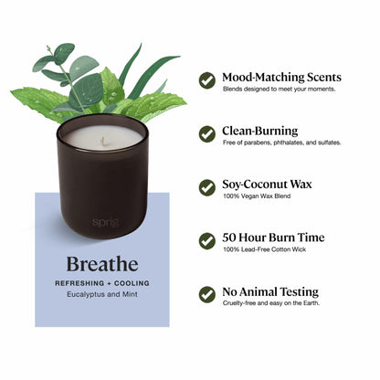 Breathe Aromatherapy Candle with Eucalyptus and Mint -8 oz