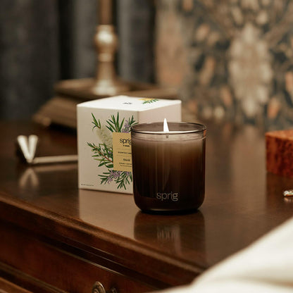 Shield Aromatherapy Candle with Tea Tree and Rosemary - 8 oz