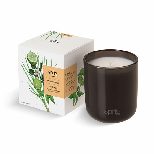 Recharge Aromatherapy Candle with Bergamot & Lemongrass - 8oz