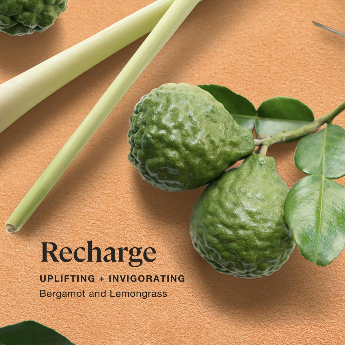 Recharge Aromatherapy Candle with Bergamot & Lemongrass - 8oz