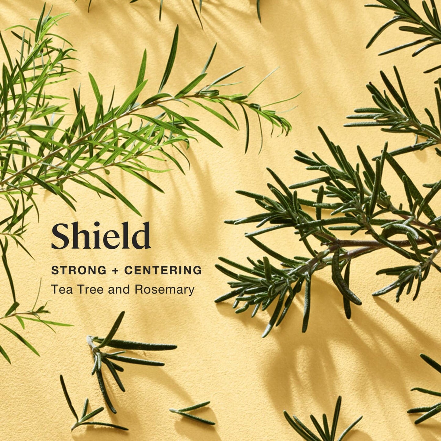 Shield Aromatherapy Candle with Tea Tree and Rosemary - 8 oz