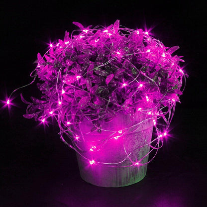 Pink Pixie Micro Fairy Lights (6 Pack)