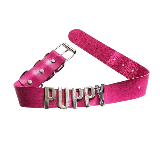 Puppy Play Collar (Colors) - Puppy's Aesthetics