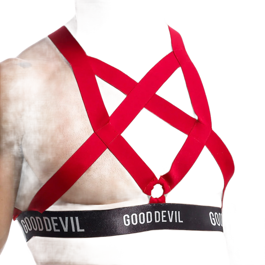 Good Devil Minimalist Accessory - Puppy's Aesthetics