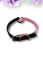 Brat Mismatch Pacifier Gag