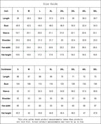 Kawaii Foxy Hoodie With Decorative Ears - Puppy's Aesthetics