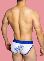 Playful Pup Briefs (Colors) - Puppy's Aesthetics