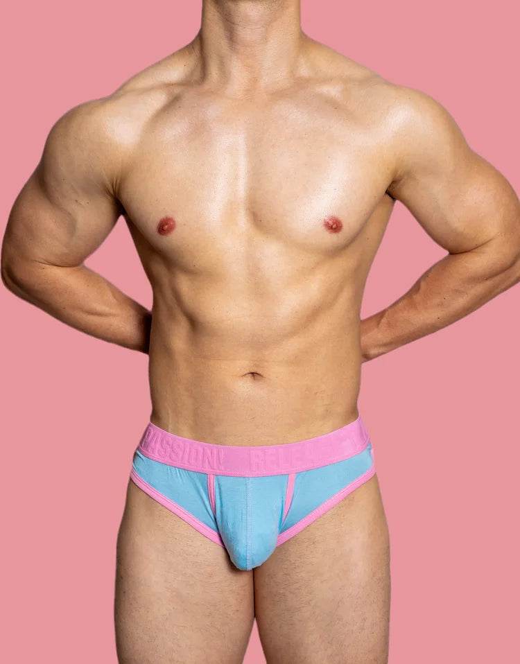Playful Pup Briefs (Colors) - Puppy's Aesthetics