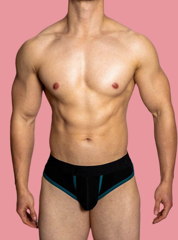 Playful Pup Briefs (Colors) - Puppy's Aesthetics