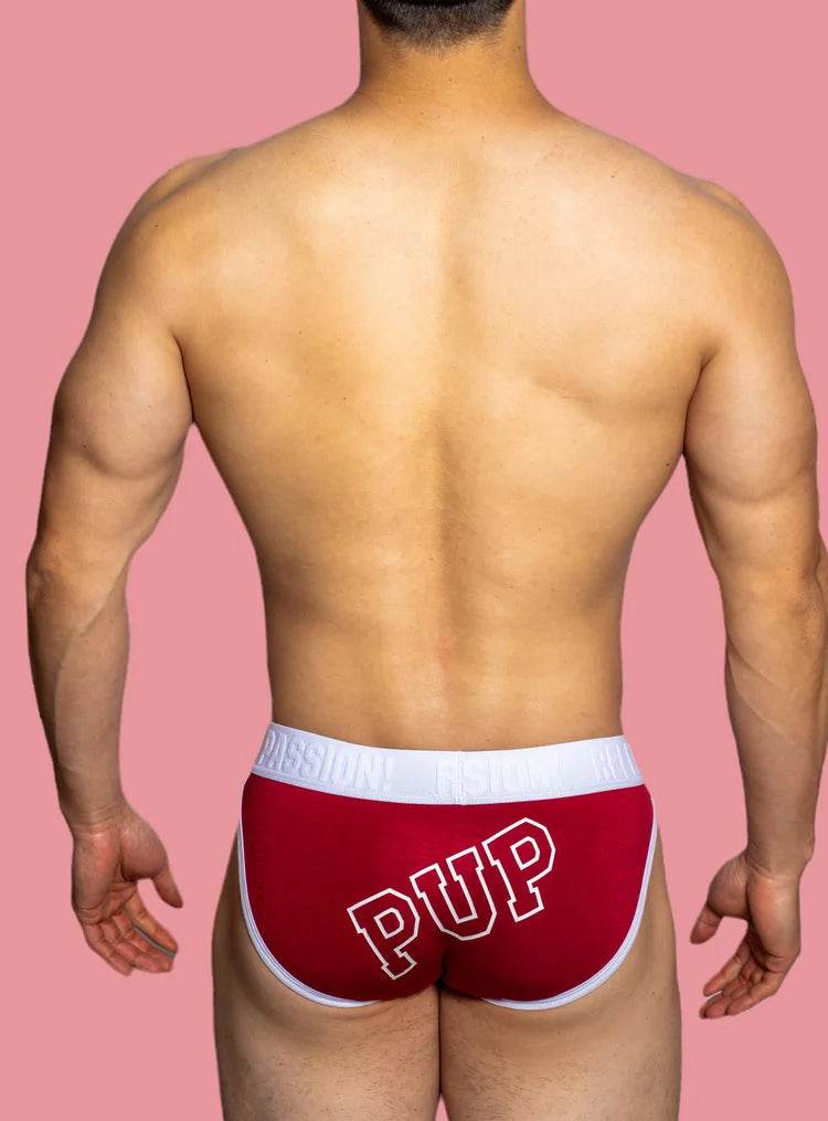Playful Pup Briefs (Colors) - Puppy's Aesthetics