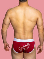 Playful Pup Briefs (Colors) - Puppy's Aesthetics