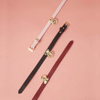 Luxury Leather Collar & Leash Set (Colors) - Puppy's Aesthetics