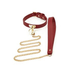 Luxury Leather Collar & Leash Set (Colors) - Puppy's Aesthetics